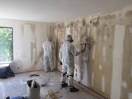 Best Industrial Mold Remediation  in Cadiz, OH